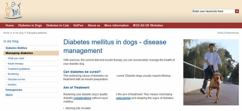 diabetes in dogs
