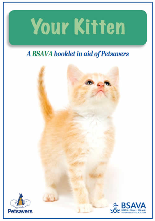 kitten booklet