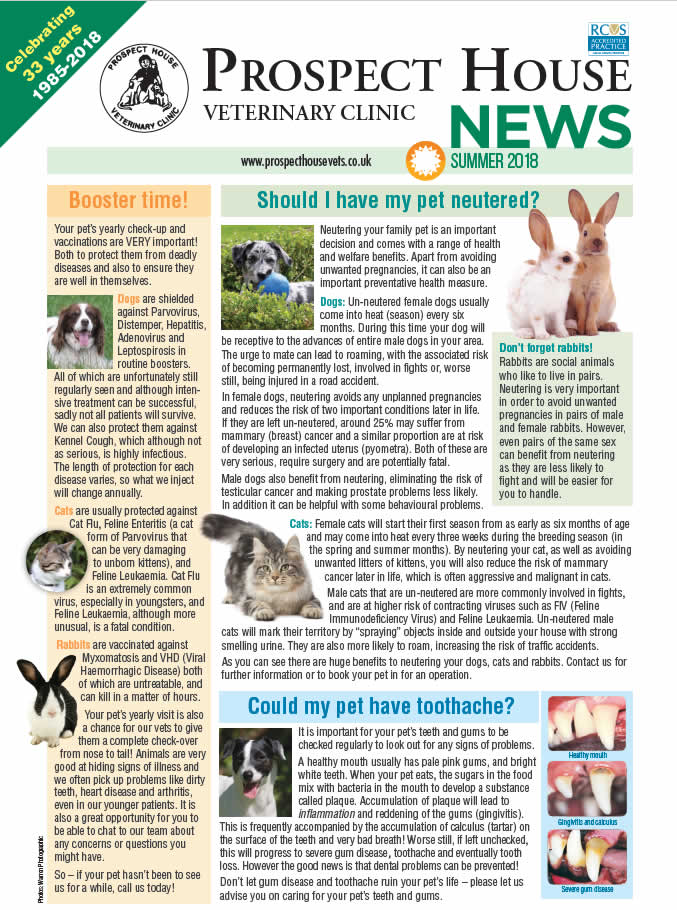 Summer newsletter Prospect house vets