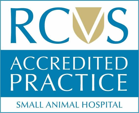 RCVS Accredited vet hospital