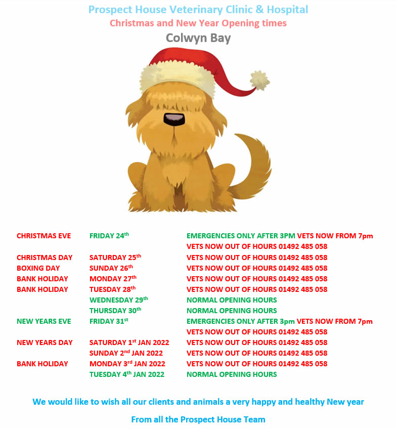 colwyn bay christmas opening times