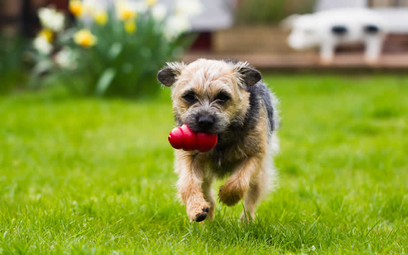 Easter Opening Times at Prospect House