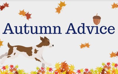 Autumn Newsletter