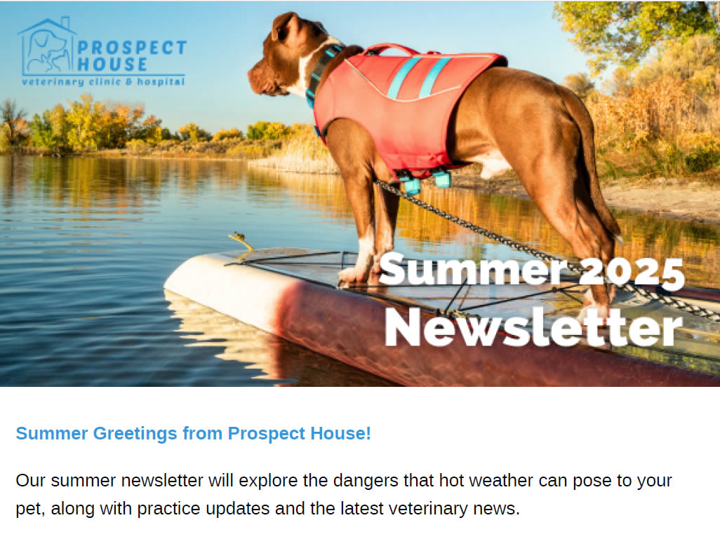 Summer Newsletter Prospect House Vets
