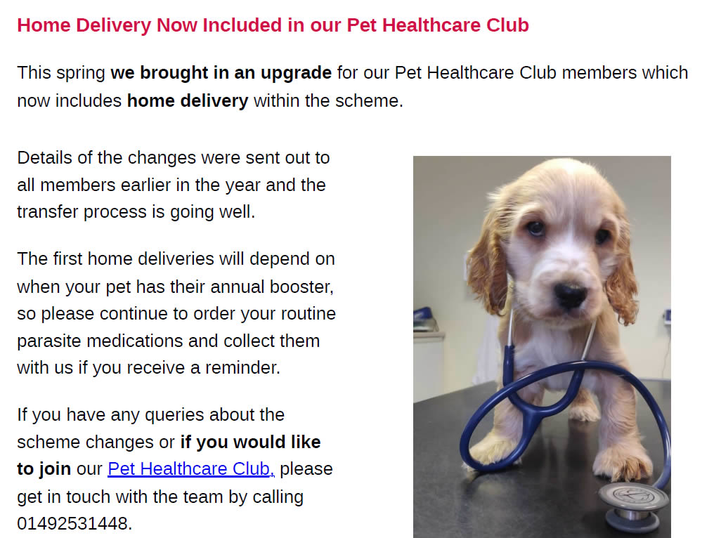 Summer Newsletter Prospect House Vets