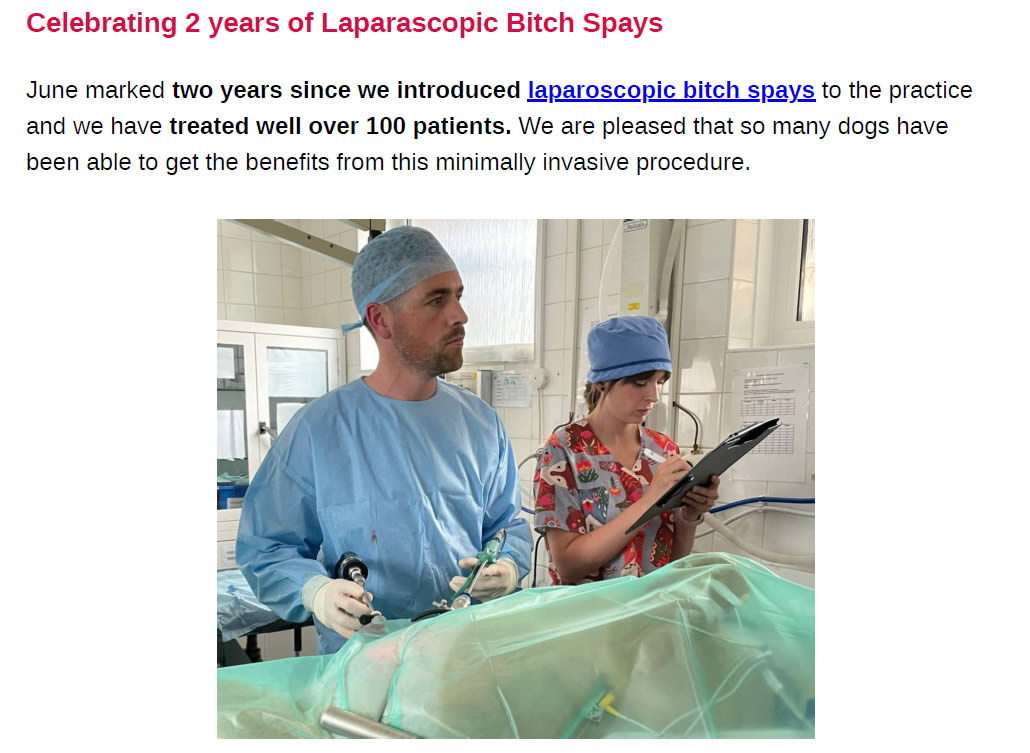 Summer Newsletter Prospect House Vets