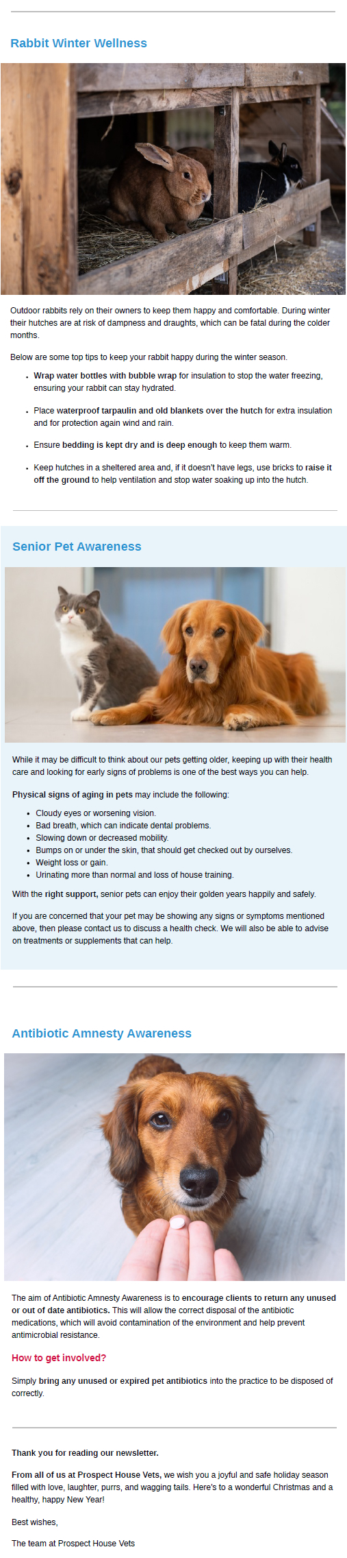 Winter Newsletter Prospect House Vets