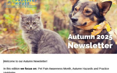 Autumn Newsletter