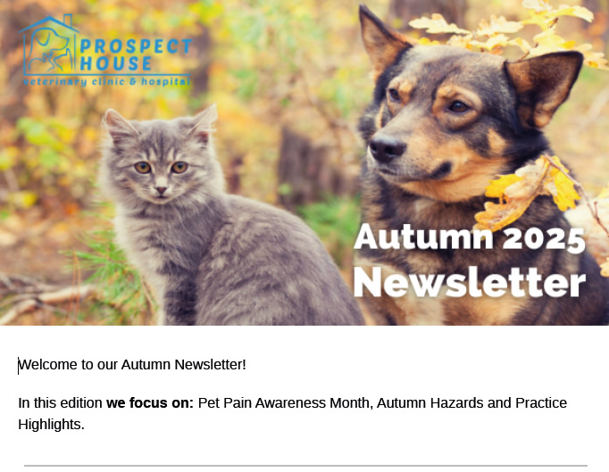 Autumn Newsletter Prospect House Vets