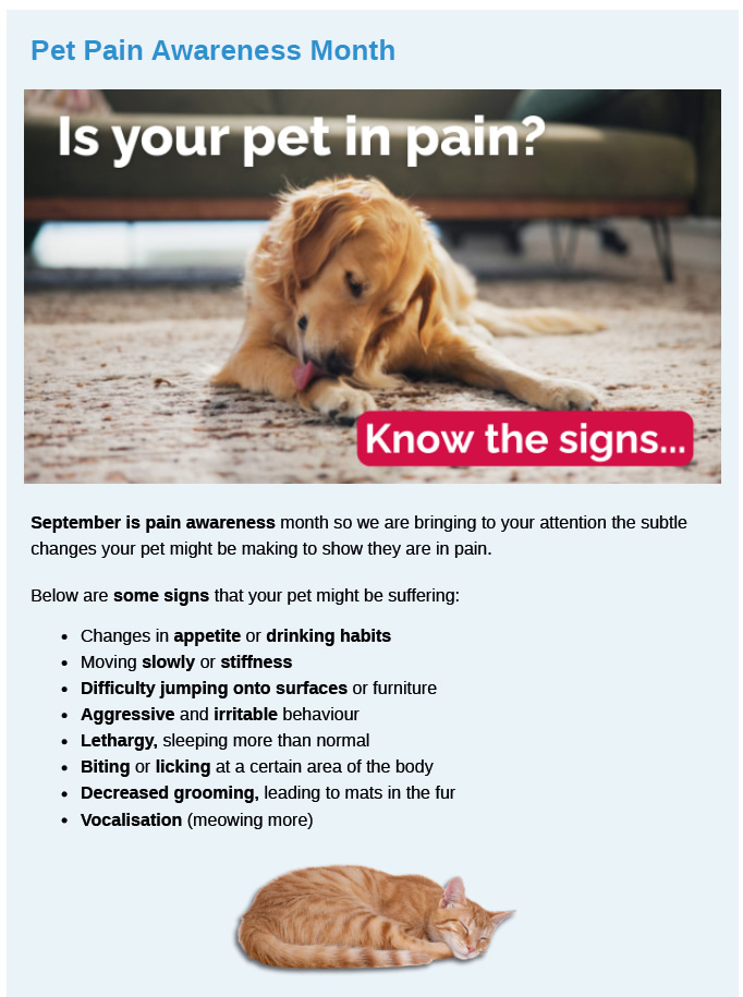 Autumn Newsletter Prospect House Vets
