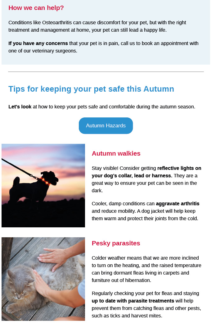 Autumn Newsletter Prospect House Vets