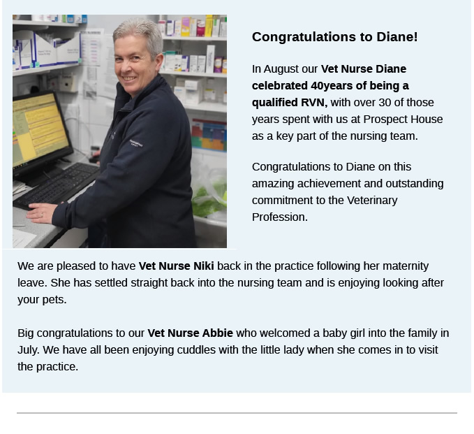 Autumn Newsletter Prospect House Vets