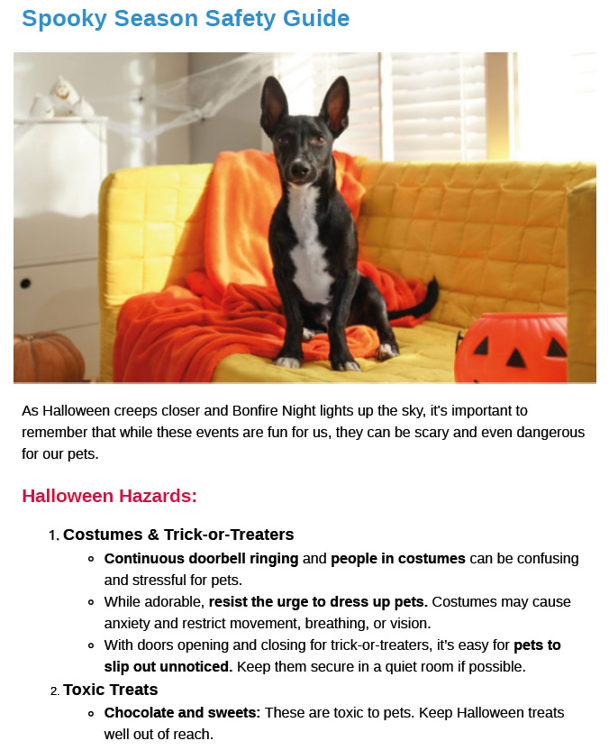 Autumn Newsletter Prospect House Vets