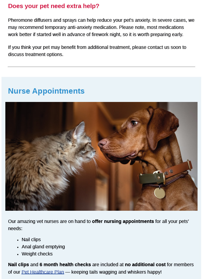 Autumn Newsletter Prospect House Vets