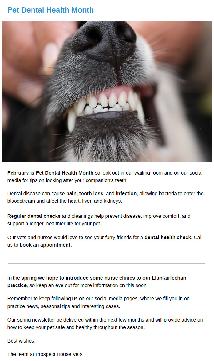 Winter Newsletter Prospect House Vets