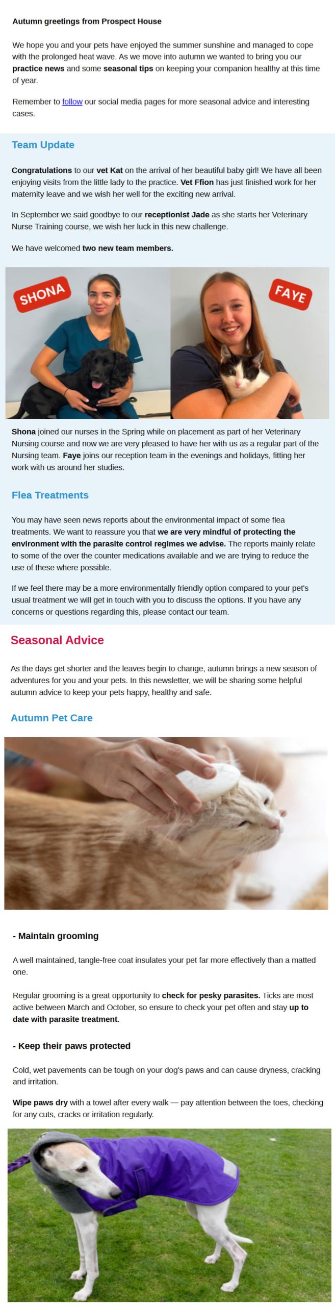 Autumn Newsletter Prospect House Vets