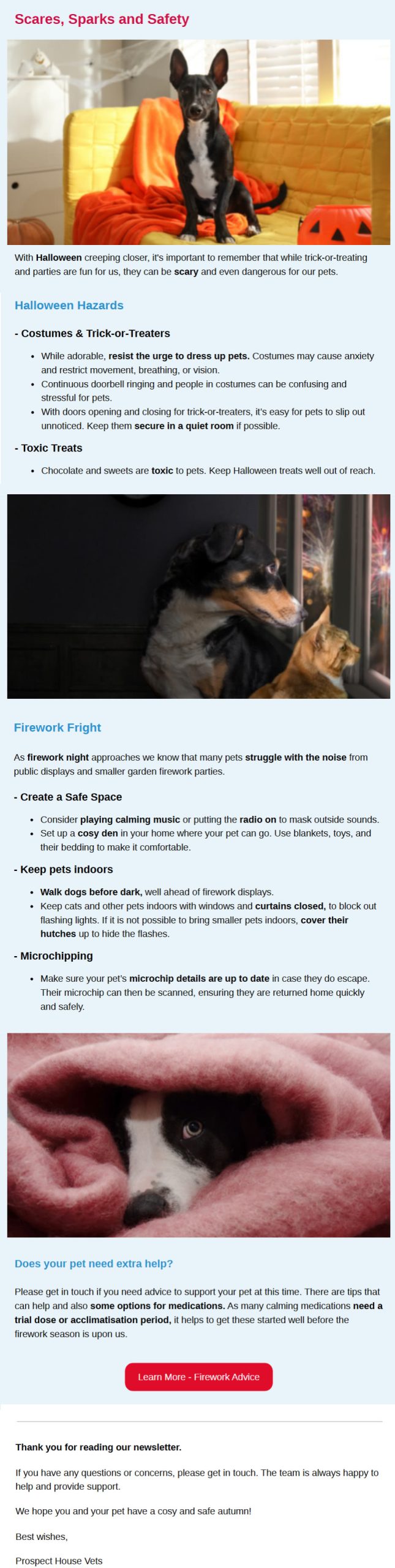 Autumn Newsletter Prospect House Vets